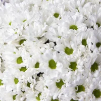 Флористический букет 