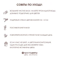 Букет Гипсофила 